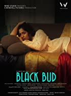 Black Bud 2021 Full Movie Download Filmyzilla