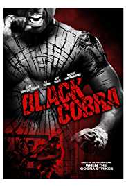 Black Cobra 2012 Dual Audio Hindi 480p 300MB Filmyzilla