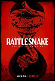 Rattlesnake 2019 Dual Audio Hindi 480p 300MB Filmyzilla