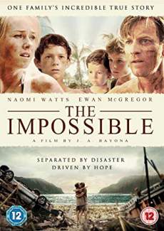The Impossible 2012 Dual Audio Hindi 480p 300MB Filmyzilla
