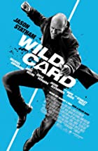 Wild Card 2015 Hindi Dubbed 480p 720p Filmyzilla